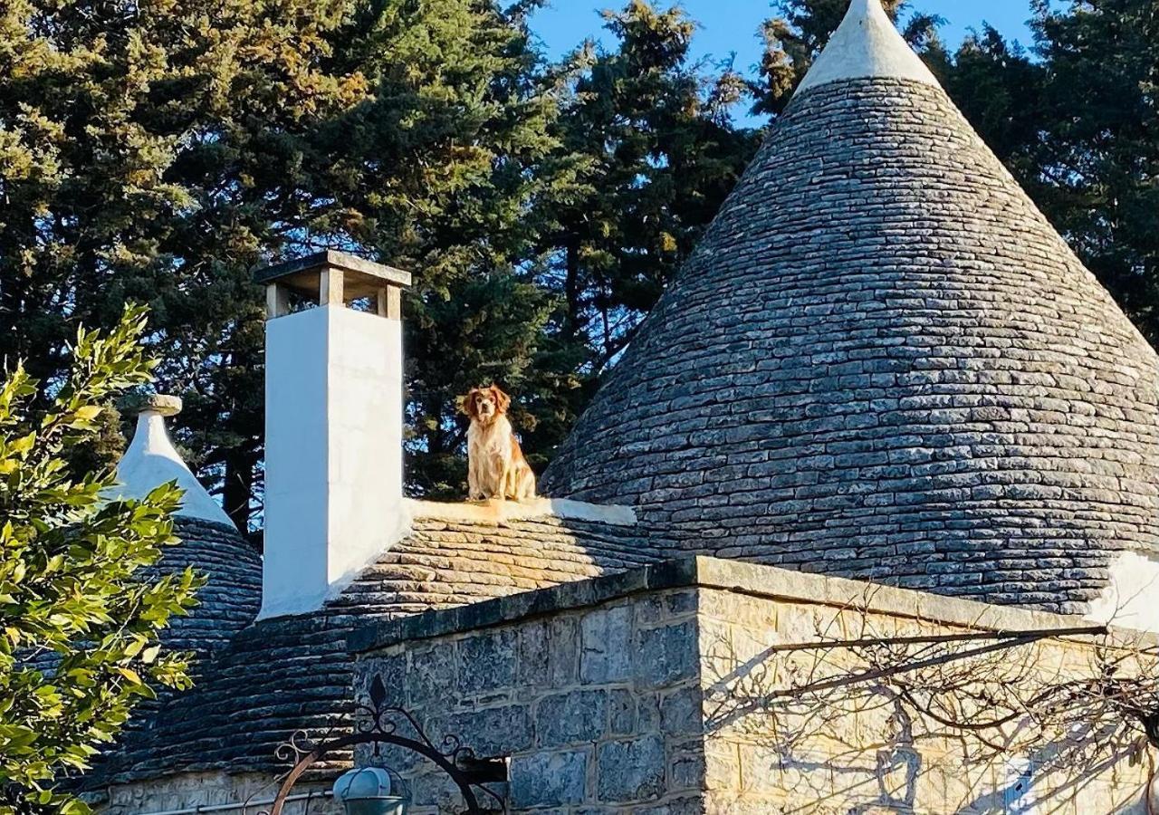 Apartament L'Eremo Alberobello Zewnętrze zdjęcie
